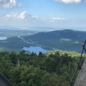 Meet your Posher, Frank